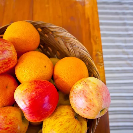 게스트하우스 라운지 게스트 하우스 파티마